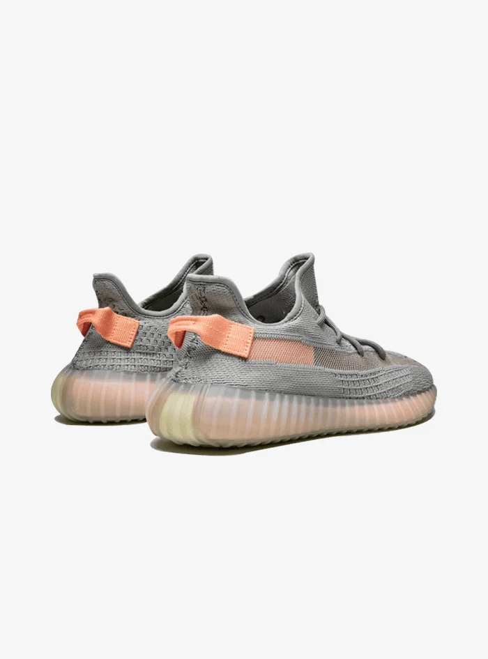 Adidas Yeezy Boost 350 V2 True Form - immagine 4