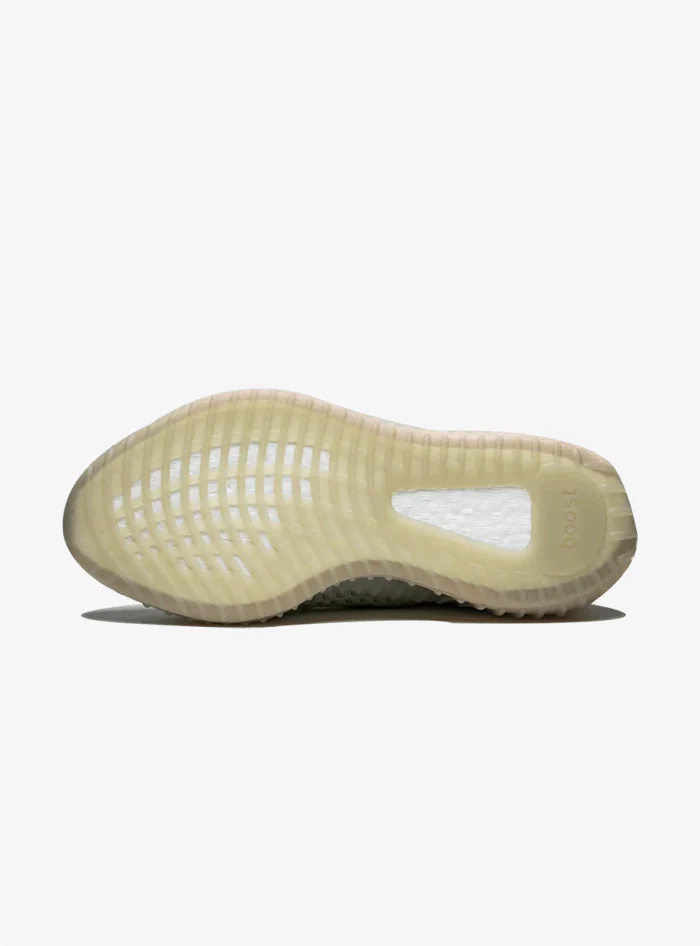 Adidas Yeezy Boost 350 V2 True Form - immagine 5