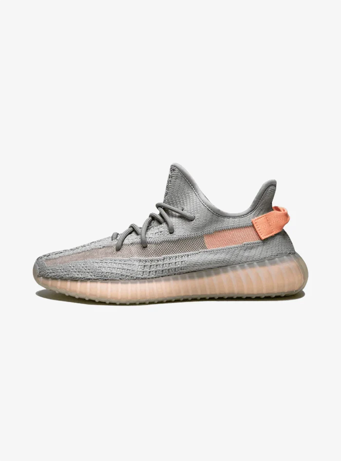 Adidas Yeezy Boost 350 V2 True Form - immagine 2